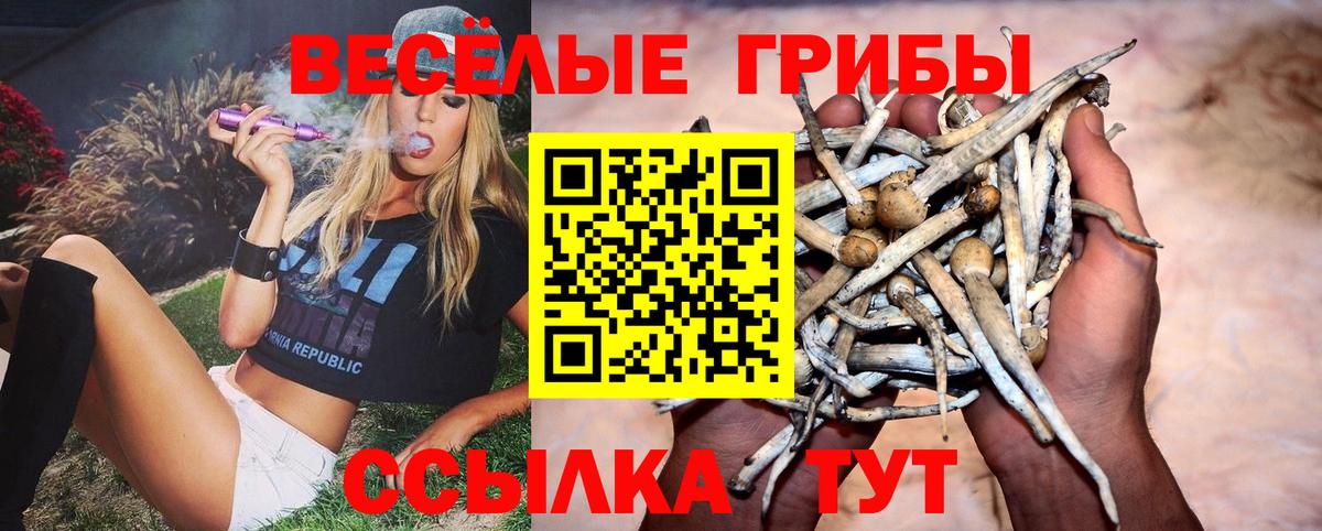 Ярославль  Галлюциногенные грибы MAGIC MUSHROOMS  Вход с VPN 
