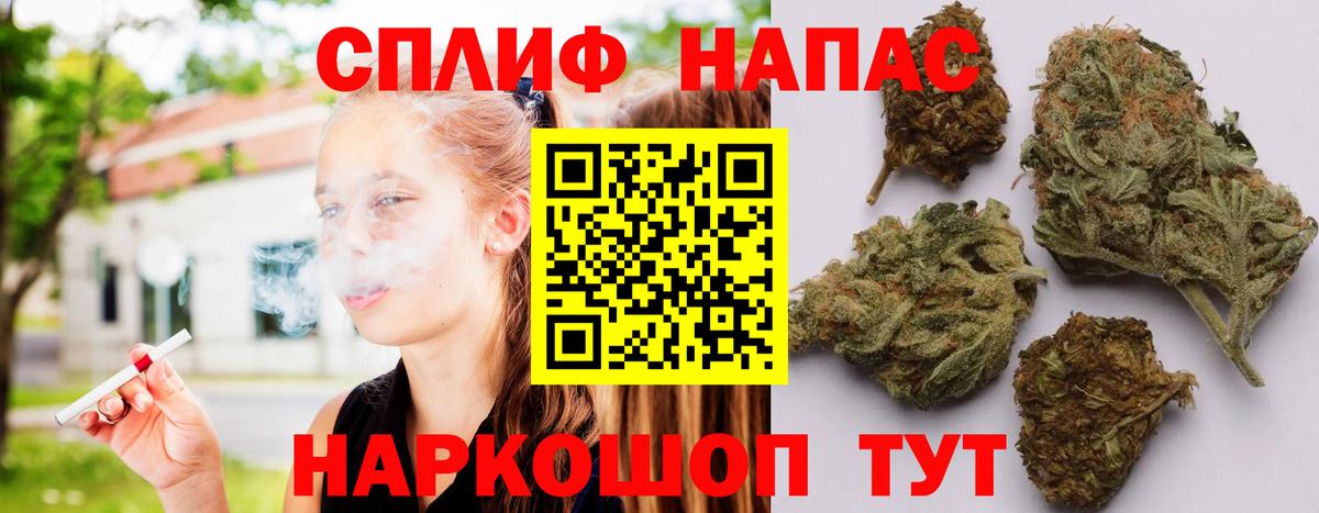 Шишки марихуана Amnesia  МАРИХУАНА план  Ярославль  Бошки марихуана THC 21%  Бошки марихуана план  Вход с VPN 